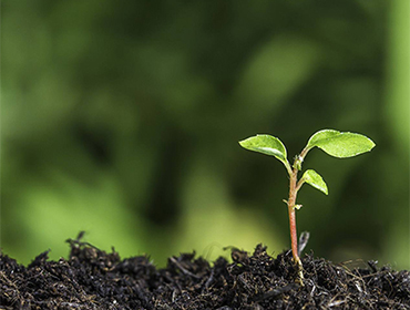 Green Enterprise Incubators